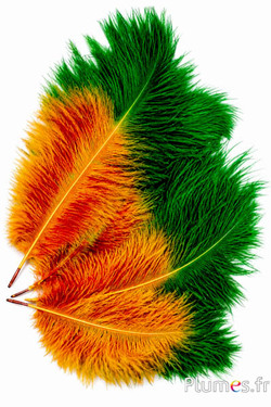 Struisvogel - 30-40 cm - azteeks goud-groen